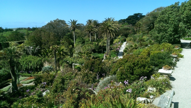 Tresco Abbey Gardens